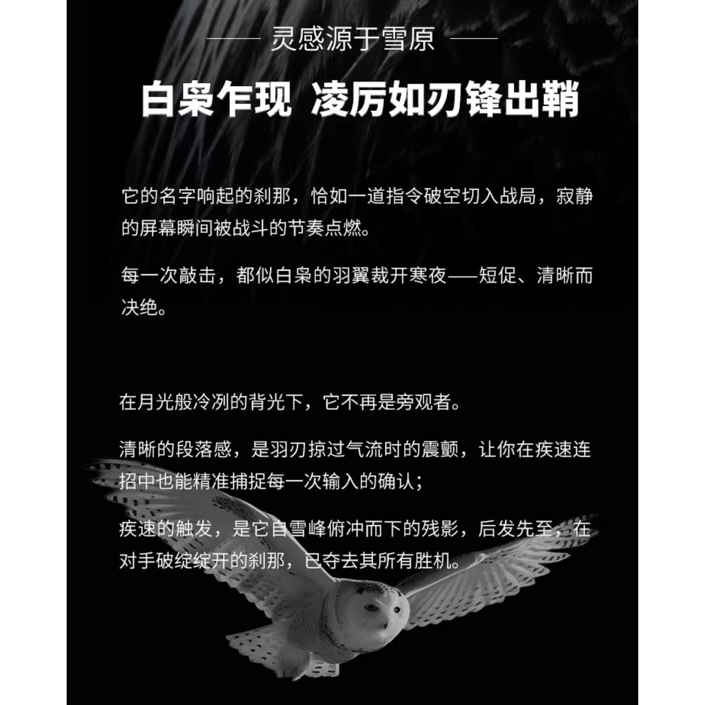 Kailh White Owl Mini ロープロファイル クリッキー キースイッチ(ChocV2/45g/5個)