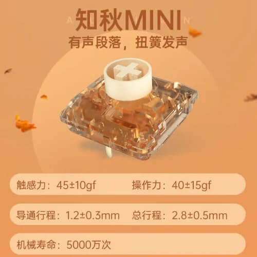 Kailh ChocV2 ロープロファイルキースイッチ お試しセット（11種類 / 2025年10月版）
