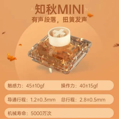 Kailh ChocV2 ロープロファイルキースイッチ お試しセット（11種類 / 2025年10月版）