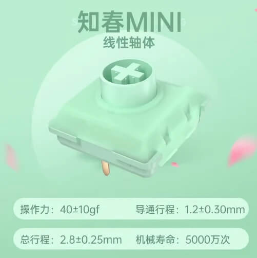 Kailh ChocV2 ロープロファイルキースイッチ お試しセット（11種類 / 2025年10月版）