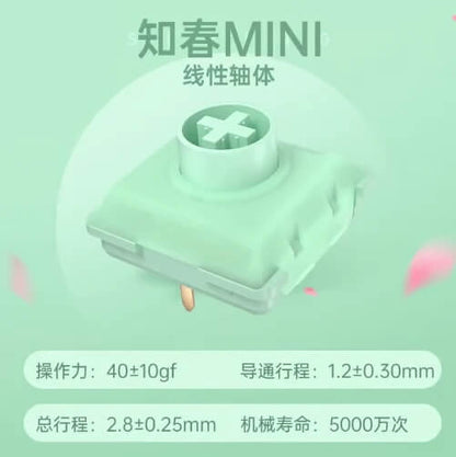 Kailh ChocV2 ロープロファイルキースイッチ お試しセット（11種類 / 2025年10月版）
