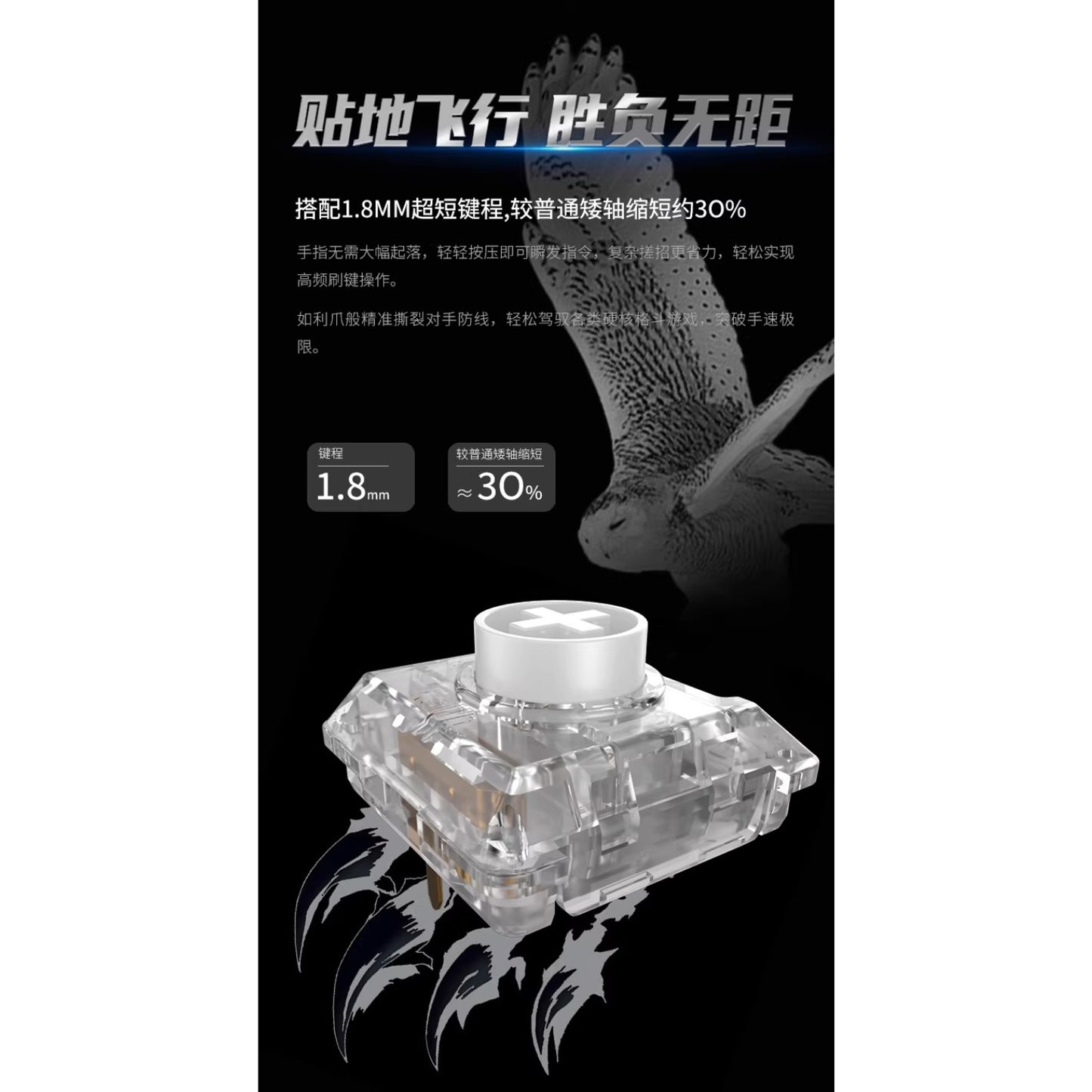 Kailh White Owl Mini ロープロファイル クリッキー キースイッチ（ChocV2/45g/5個）