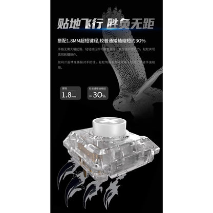 Kailh White Owl Mini ロープロファイル クリッキー キースイッチ（ChocV2/45g/5個）