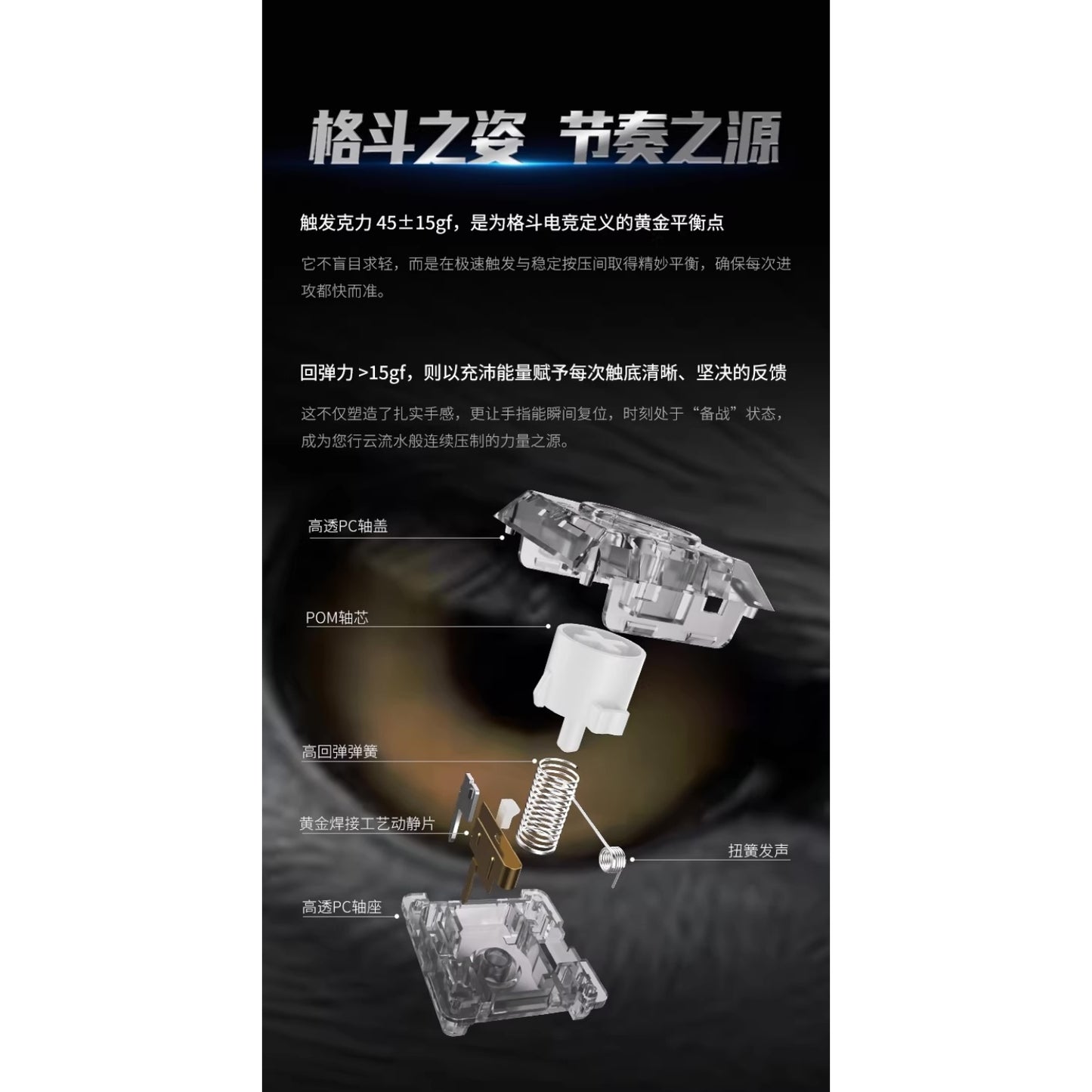 Kailh White Owl Mini ロープロファイル クリッキー キースイッチ（ChocV2/45g/5個）