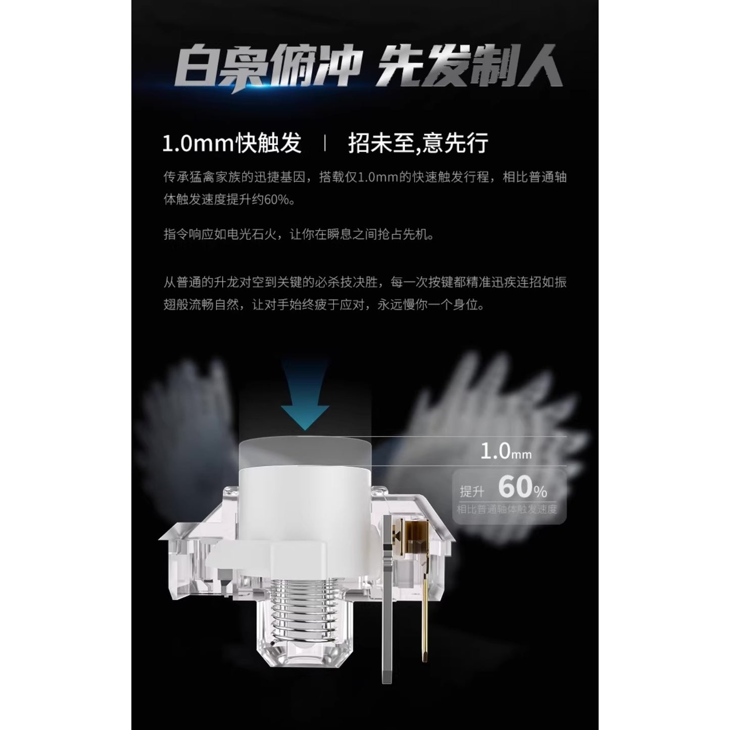 Kailh White Owl Mini ロープロファイル クリッキー キースイッチ（ChocV2/45g/5個）