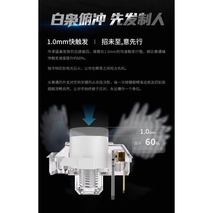 Kailh White Owl Mini ロープロファイル クリッキー キースイッチ（ChocV2/45g/5個）