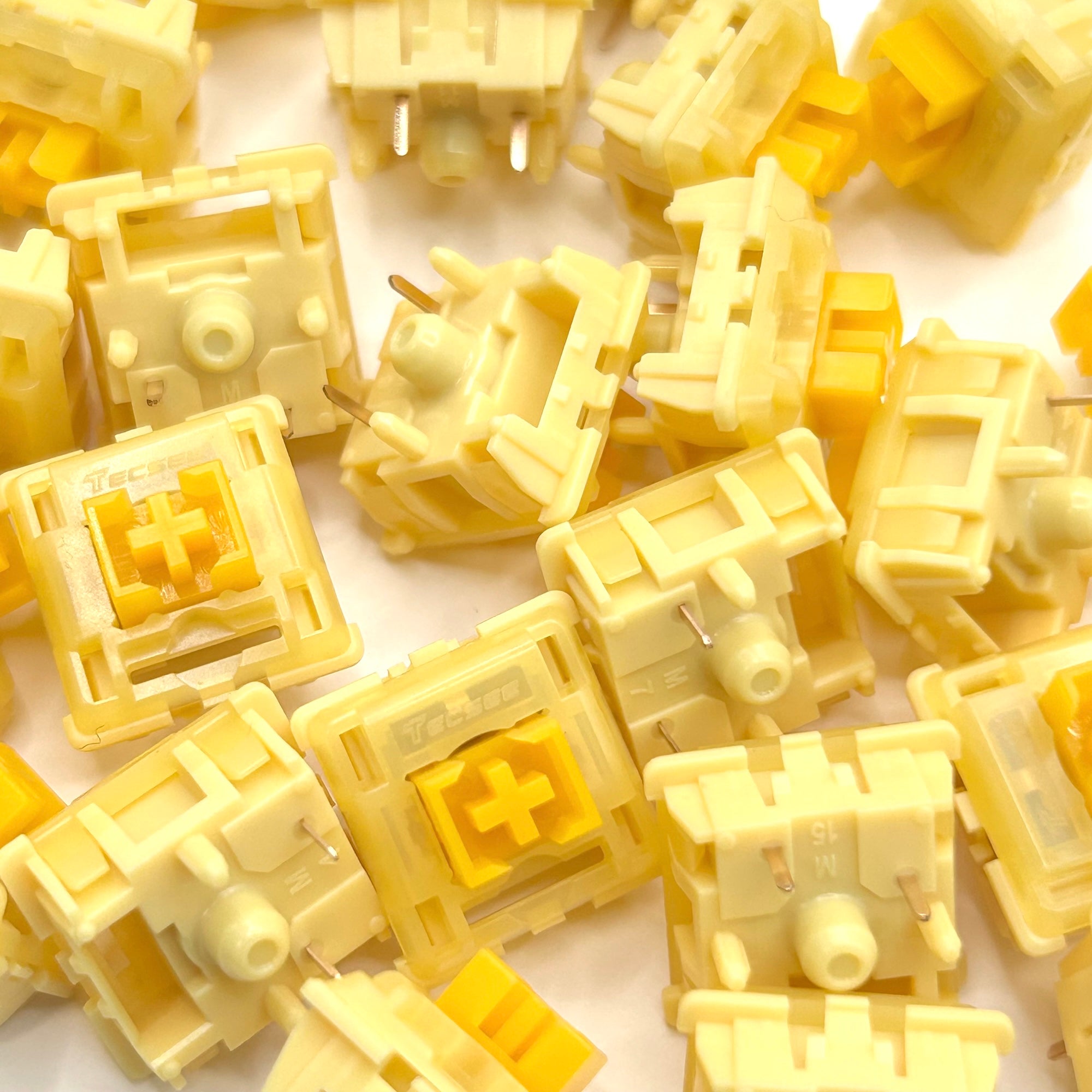 Tecsee Pudding Medium タクタイル｜TALPKEYBOARD – TALPKEYBOARD SHOP