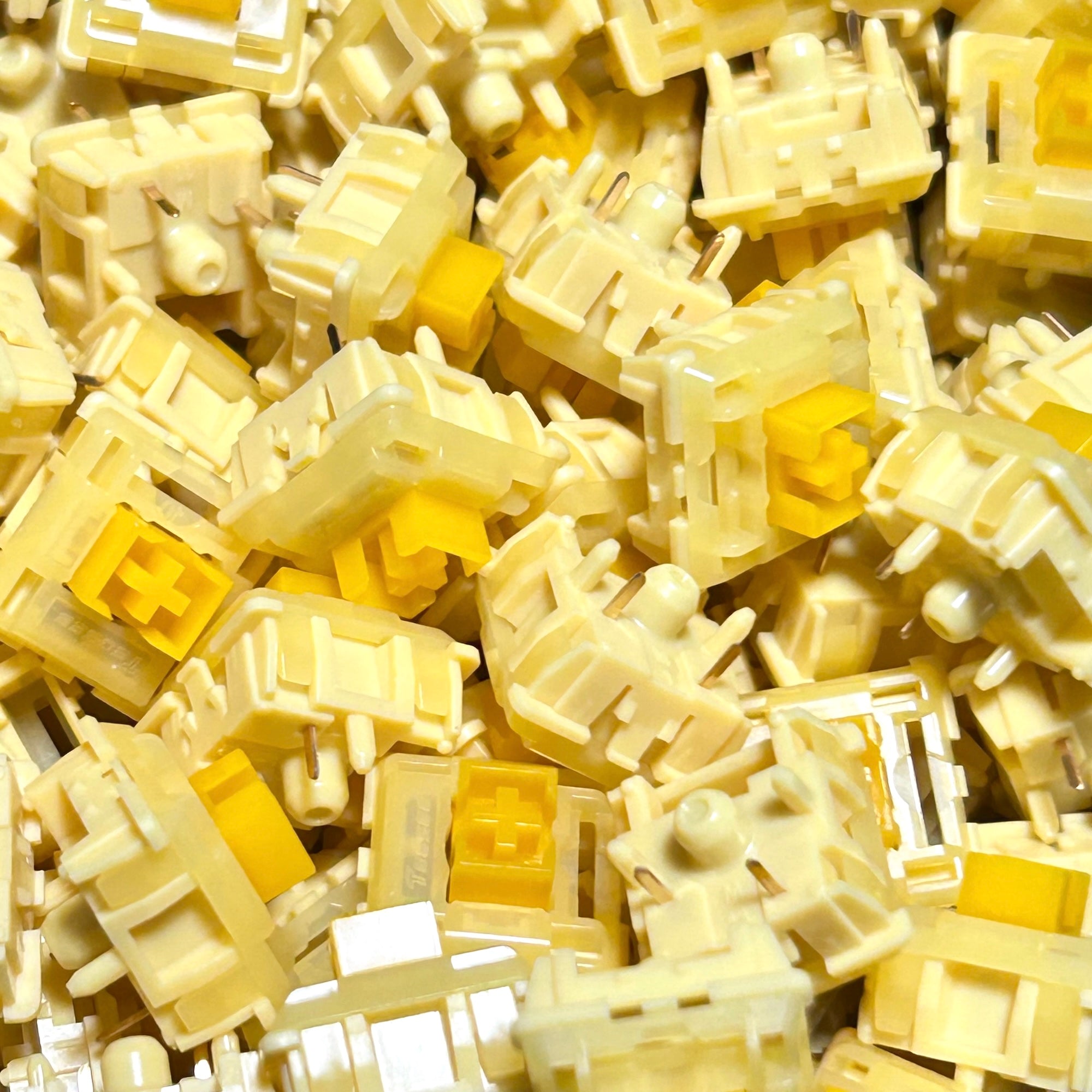 Tecsee Pudding Medium タクタイル｜TALPKEYBOARD – TALPKEYBOARD SHOP
