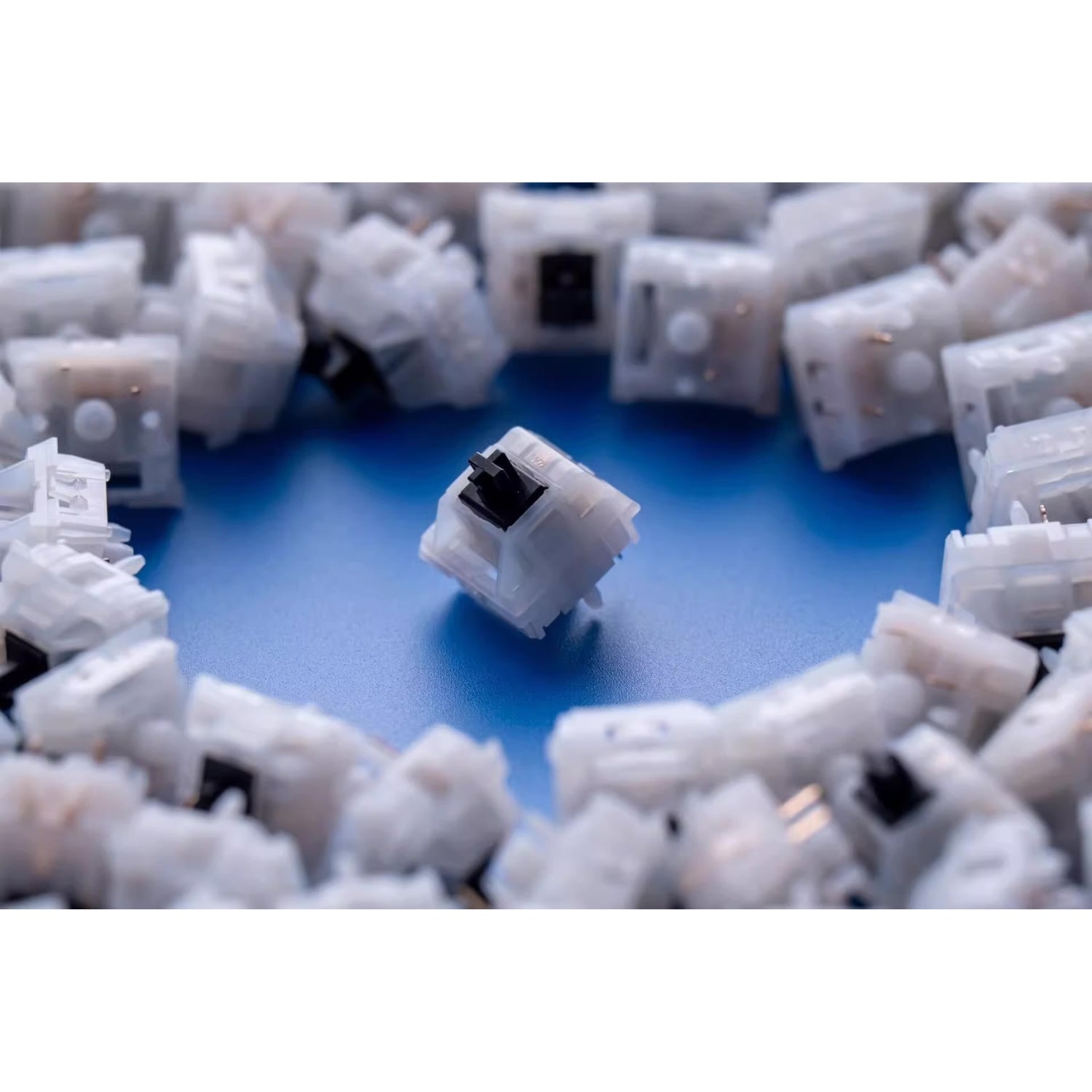 MZ Studio Keygeek Y3x リニア｜TALPKEYBOARD – TALPKEYBOARD SHOP